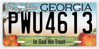 GA license plate PWU4613
