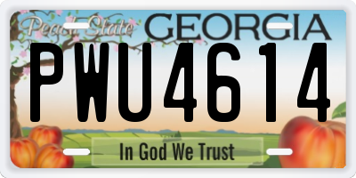 GA license plate PWU4614