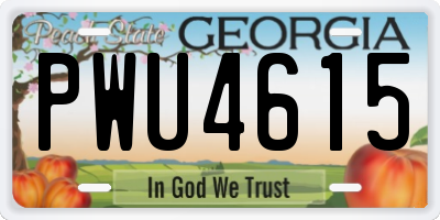 GA license plate PWU4615