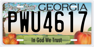 GA license plate PWU4617