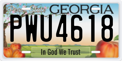 GA license plate PWU4618