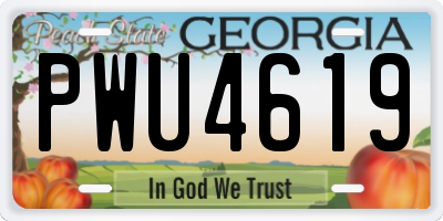 GA license plate PWU4619