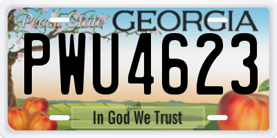 GA license plate PWU4623