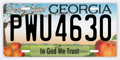 GA license plate PWU4630