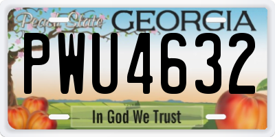 GA license plate PWU4632
