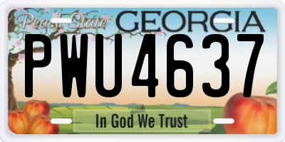 GA license plate PWU4637