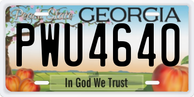 GA license plate PWU4640