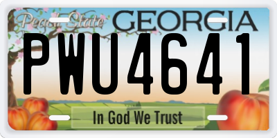 GA license plate PWU4641