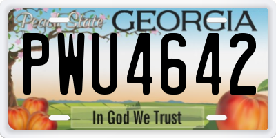 GA license plate PWU4642