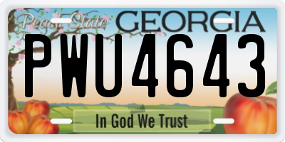 GA license plate PWU4643