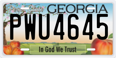 GA license plate PWU4645