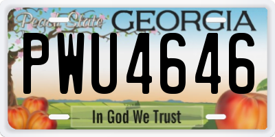GA license plate PWU4646