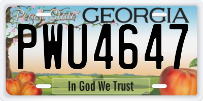 GA license plate PWU4647