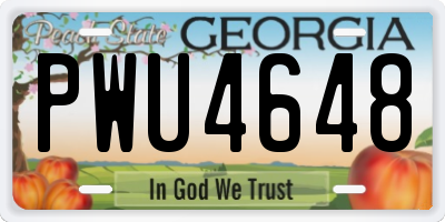 GA license plate PWU4648