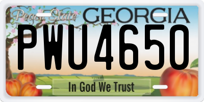 GA license plate PWU4650
