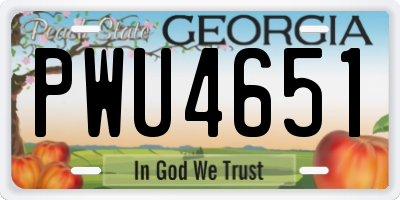 GA license plate PWU4651