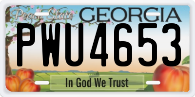 GA license plate PWU4653