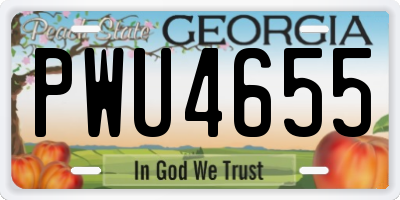 GA license plate PWU4655