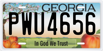 GA license plate PWU4656