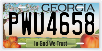 GA license plate PWU4658