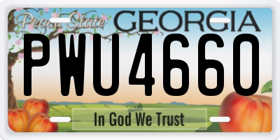 GA license plate PWU4660