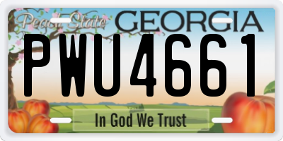 GA license plate PWU4661