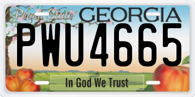 GA license plate PWU4665