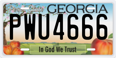 GA license plate PWU4666
