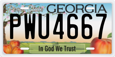 GA license plate PWU4667