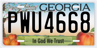 GA license plate PWU4668