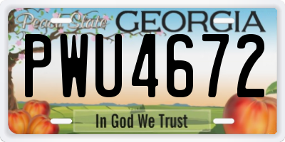 GA license plate PWU4672