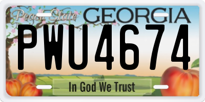 GA license plate PWU4674