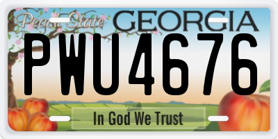 GA license plate PWU4676
