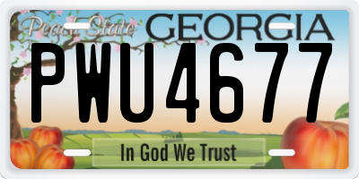 GA license plate PWU4677