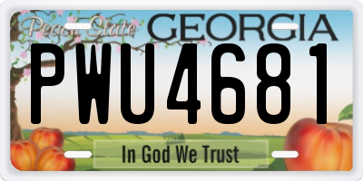 GA license plate PWU4681