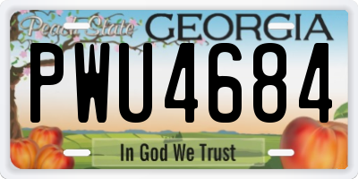 GA license plate PWU4684