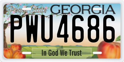 GA license plate PWU4686