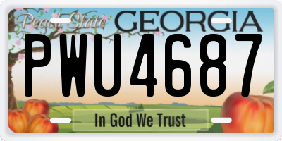 GA license plate PWU4687
