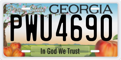 GA license plate PWU4690