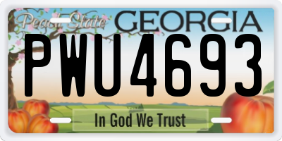 GA license plate PWU4693