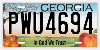 GA license plate PWU4694