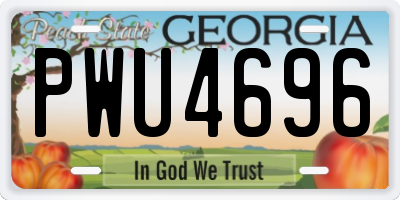 GA license plate PWU4696