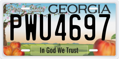 GA license plate PWU4697