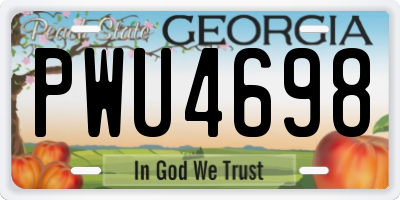 GA license plate PWU4698