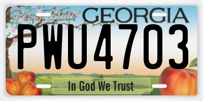 GA license plate PWU4703