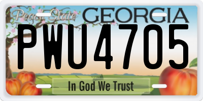 GA license plate PWU4705