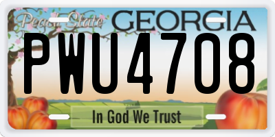 GA license plate PWU4708