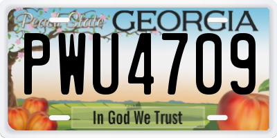 GA license plate PWU4709