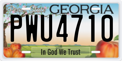 GA license plate PWU4710