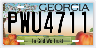 GA license plate PWU4711
